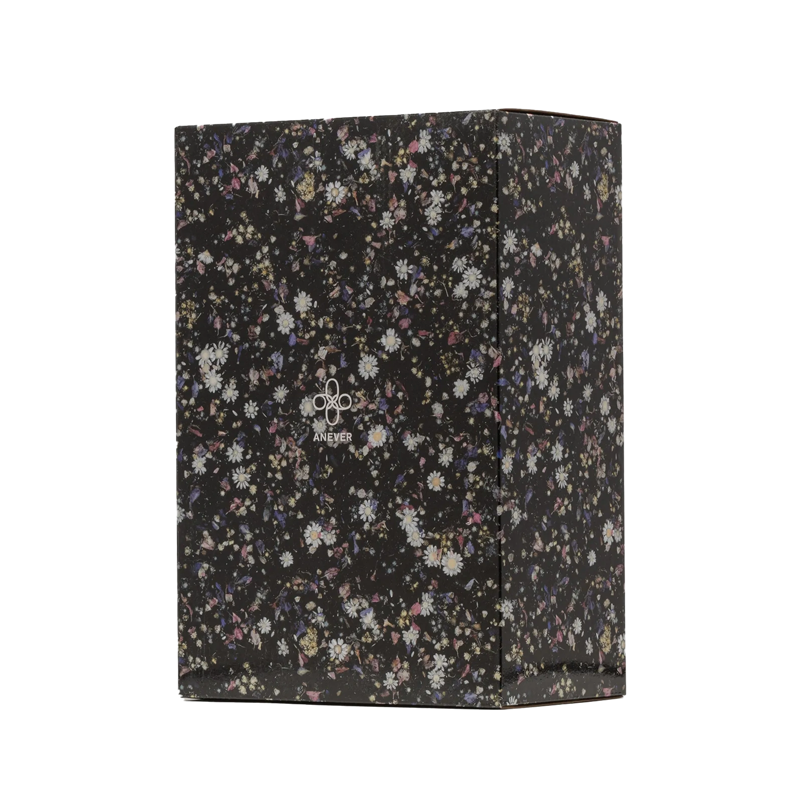 Bearbrick Anever 1000%